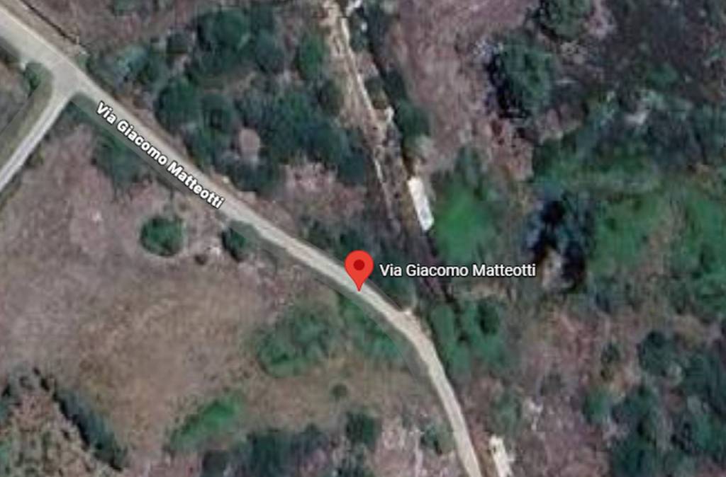 immagine annuncio 6 di 11