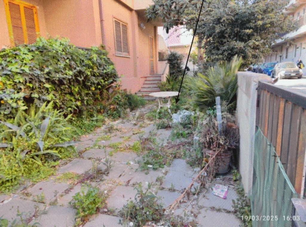 immagine annuncio 5 di 13