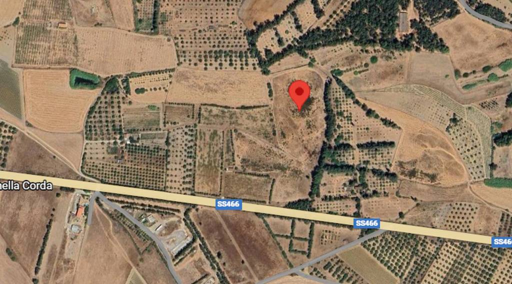 immagine annuncio 7 di 11