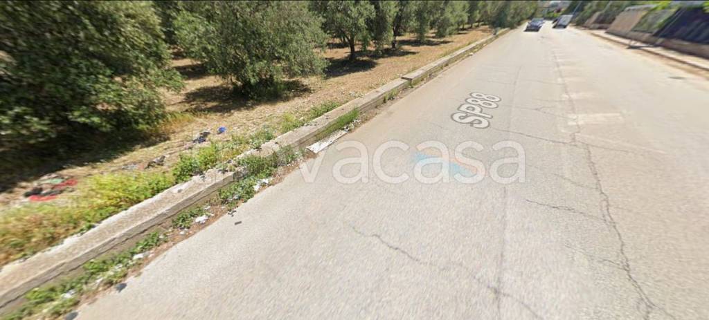 immagine annuncio 3 di 12