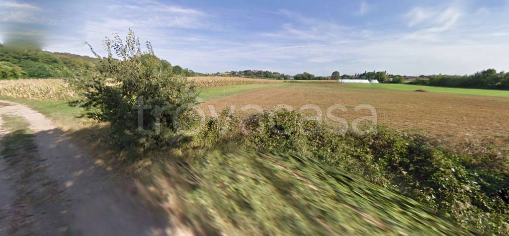 immagine annuncio 5 di 6