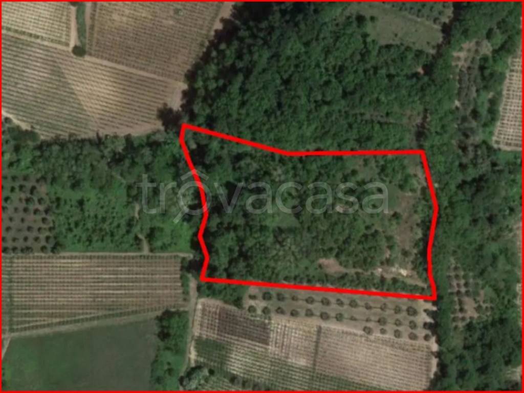 immagine annuncio 10 di 12