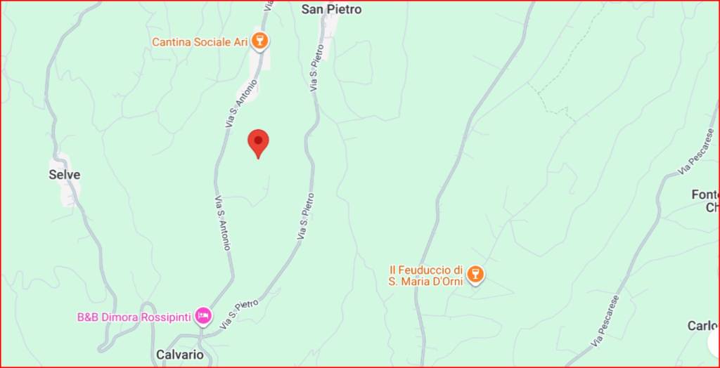 immagine annuncio 9 di 12