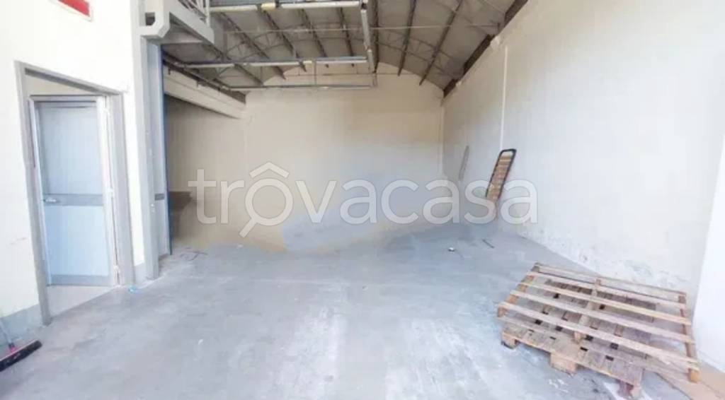 immagine annuncio 6 di 13