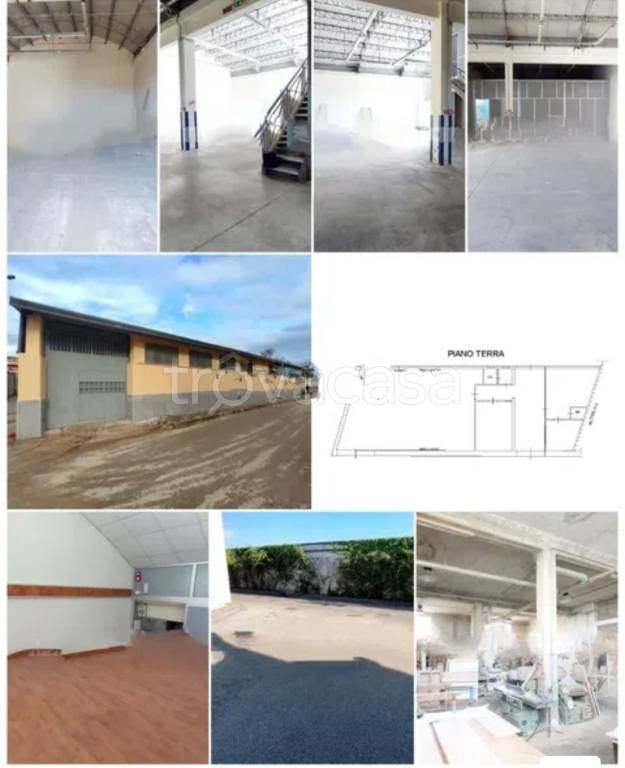 immagine annuncio 10 di 13