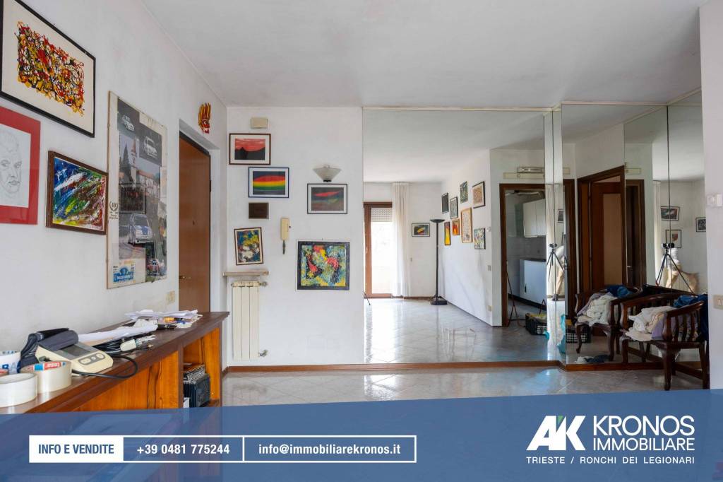 immagine annuncio 4 di 12