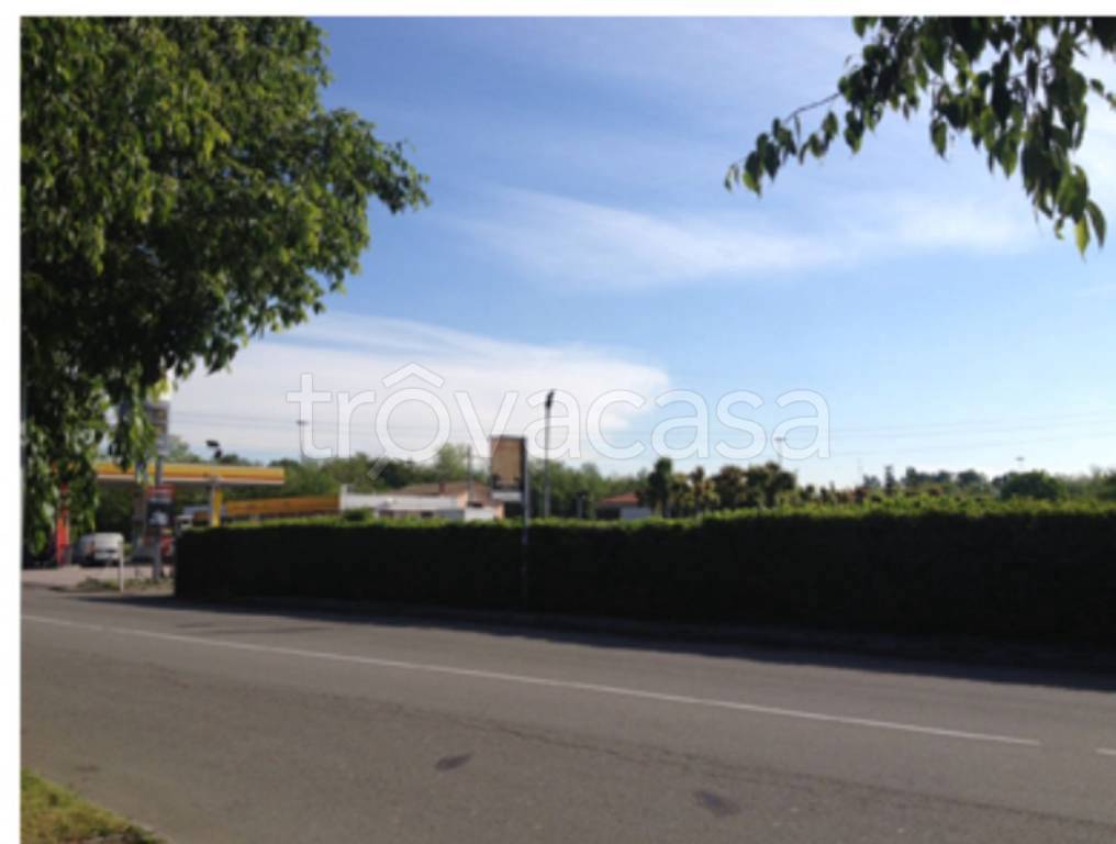 immagine annuncio 1 di 11