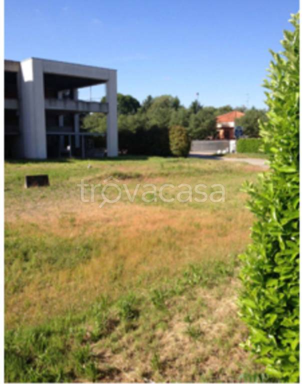 immagine annuncio 4 di 11