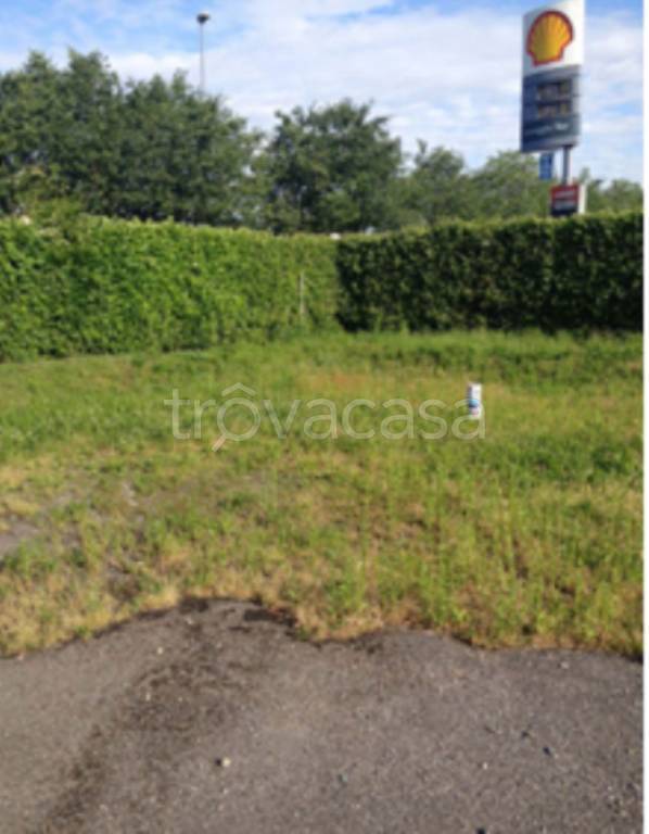 immagine annuncio 6 di 11