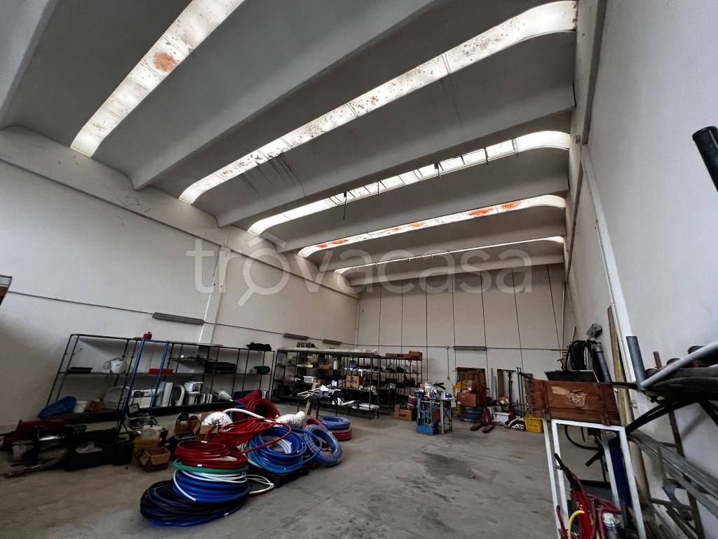 immagine annuncio 7 di 12