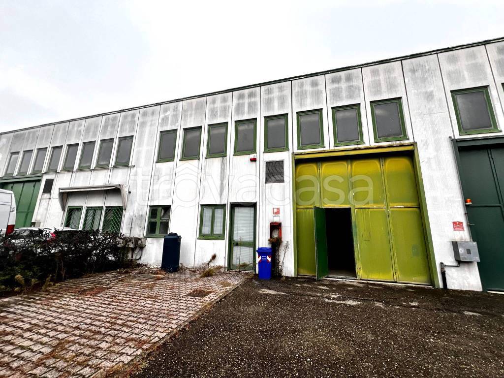 immagine annuncio 1 di 12