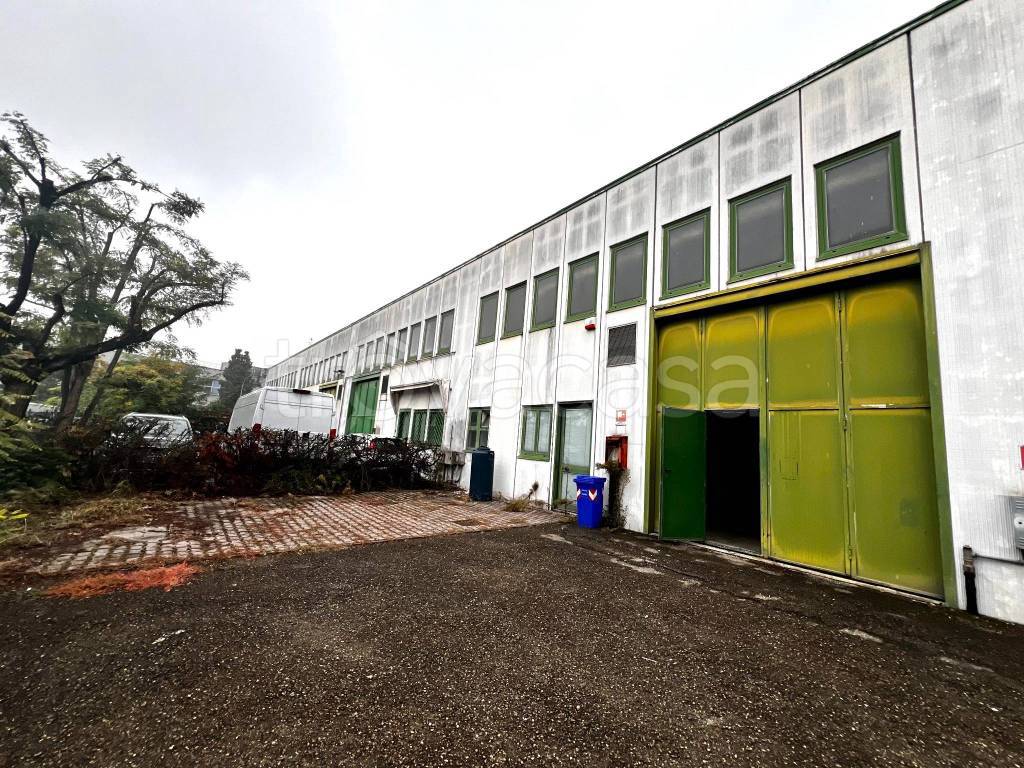 immagine annuncio 5 di 12