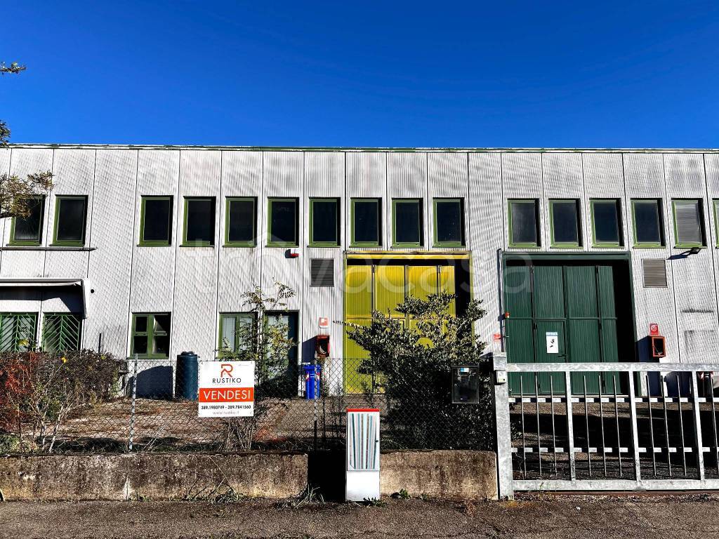 immagine annuncio 3 di 12