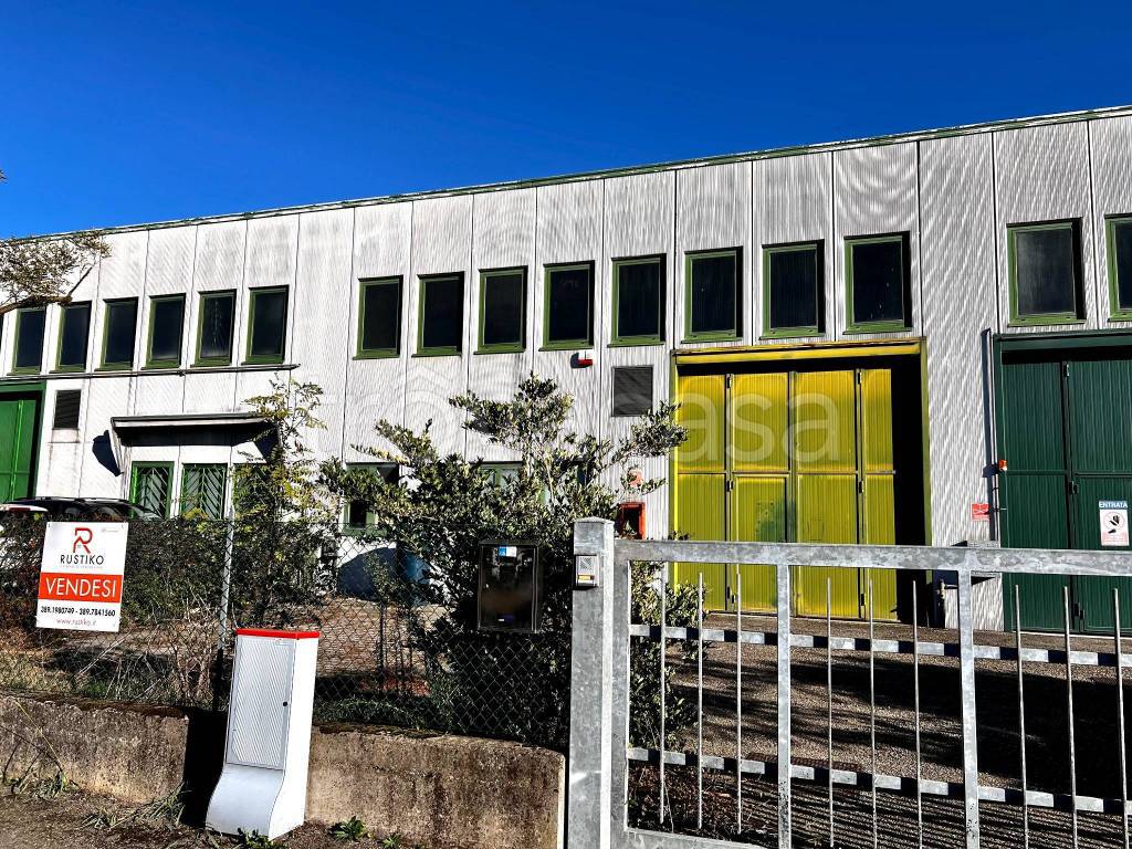 immagine annuncio 4 di 12