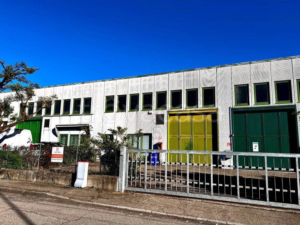 immagine annuncio 2 di 12