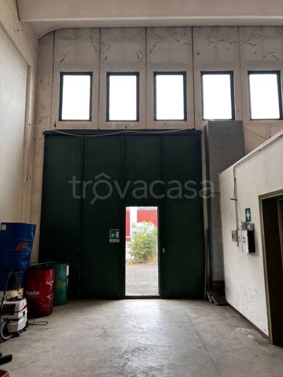 immagine annuncio 8 di 12