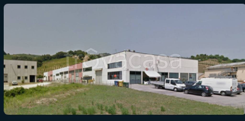 immagine annuncio 1 di 12