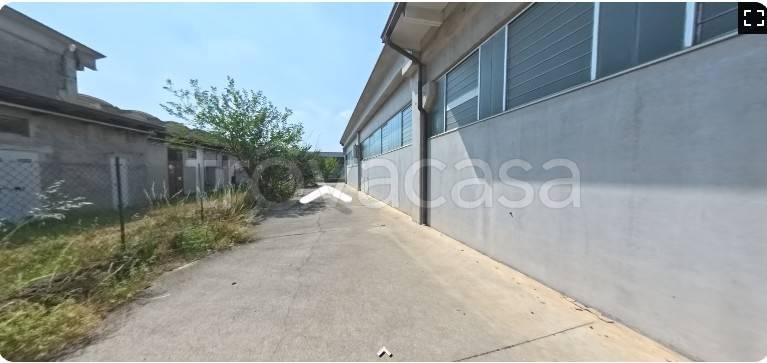 immagine annuncio 4 di 14