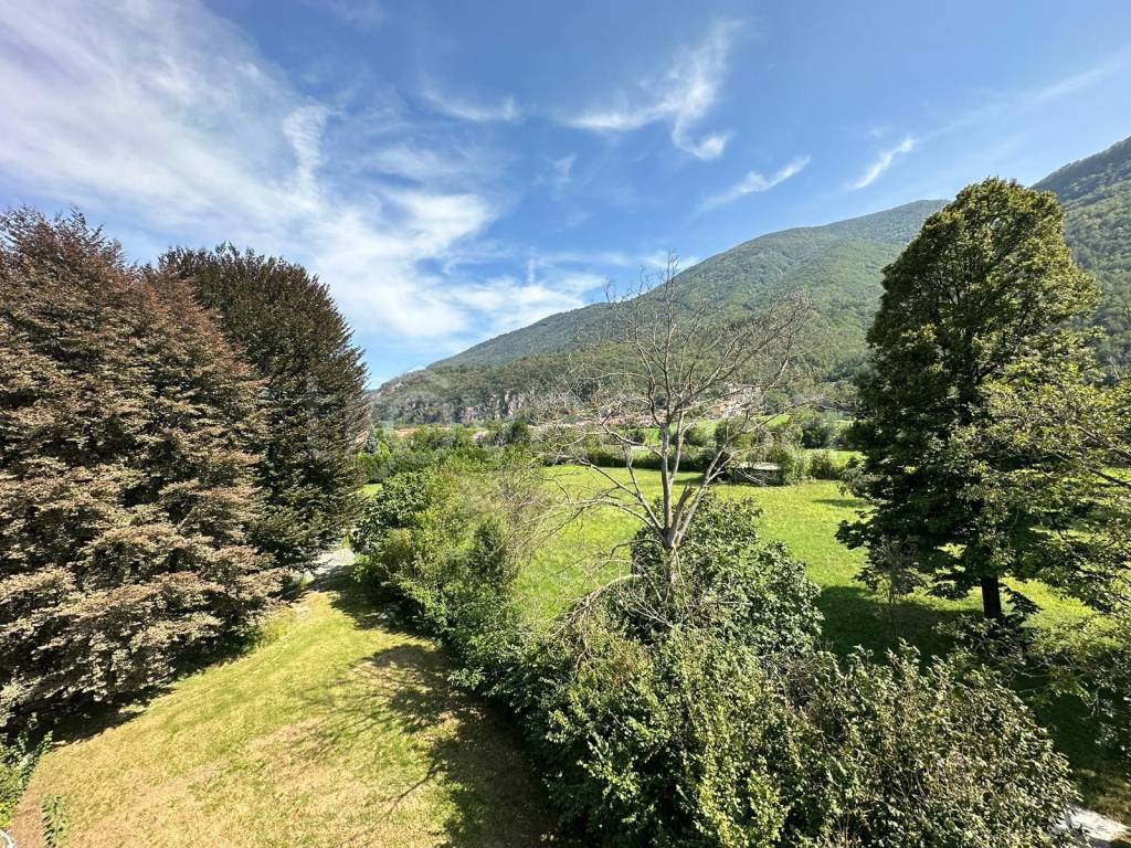 immagine annuncio 6 di 9