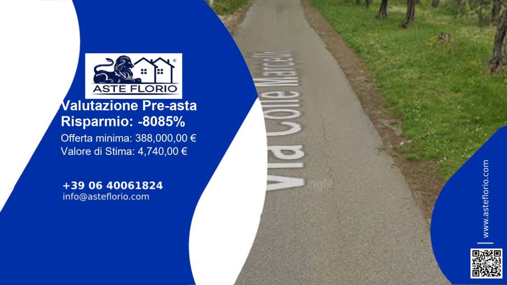 immagine annuncio 1 di 11