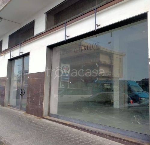 immagine annuncio 4 di 14