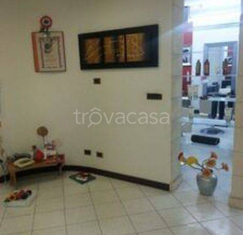 immagine annuncio 3 di 11