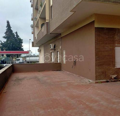 immagine annuncio 5 di 14