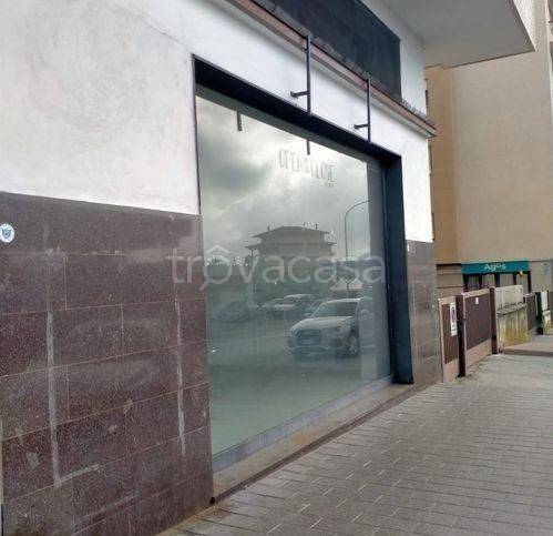 immagine annuncio 7 di 14