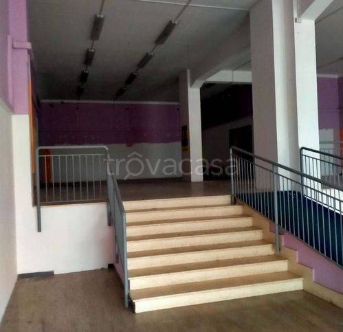 immagine annuncio 9 di 14