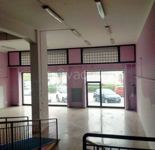 immagine annuncio 11 di 14