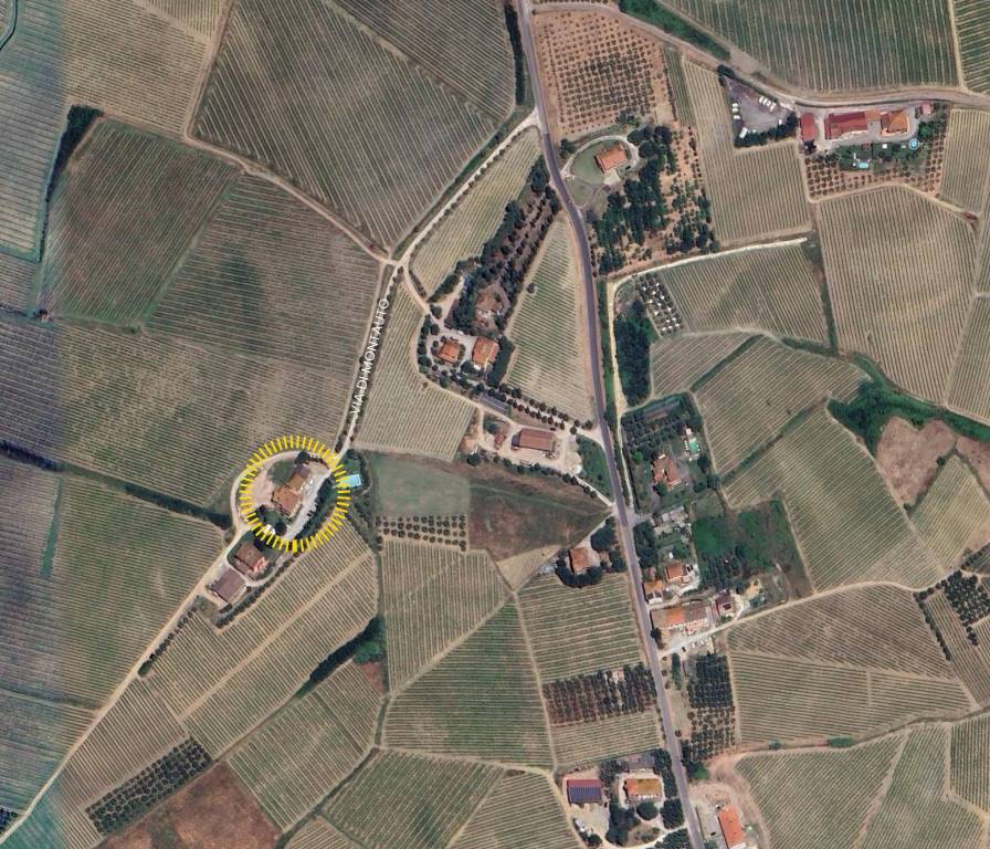 immagine annuncio 12 di 14