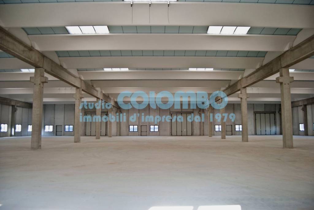 immagine annuncio 5 di 9