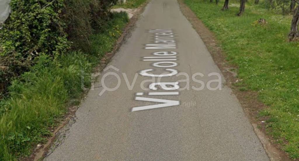 immagine annuncio 5 di 11