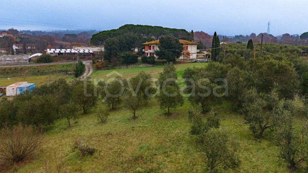 immagine annuncio 6 di 13