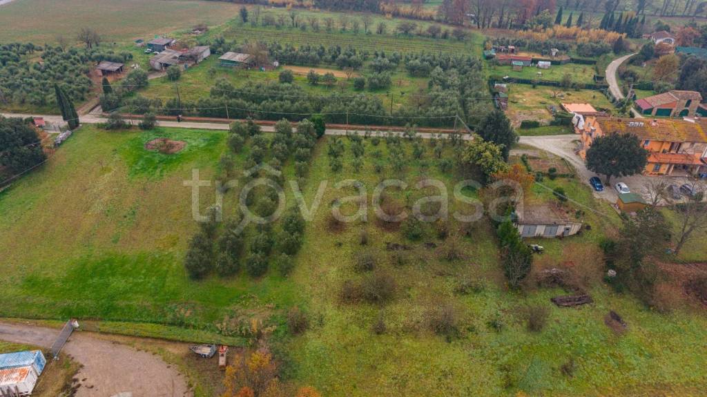 immagine annuncio 9 di 13