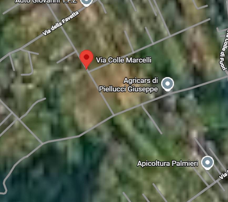 immagine annuncio 9 di 11