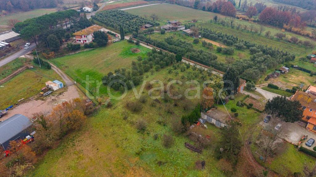 immagine annuncio 11 di 13