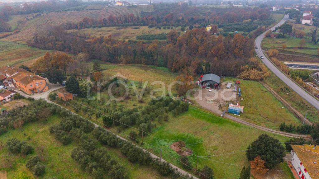 immagine annuncio 12 di 13