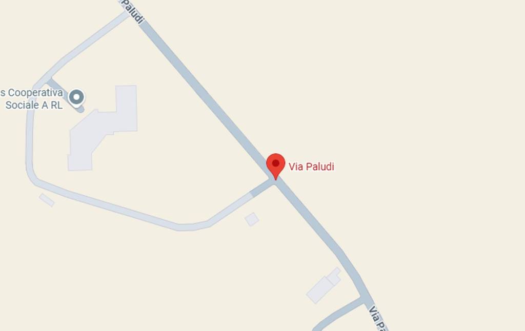 immagine annuncio 3 di 11