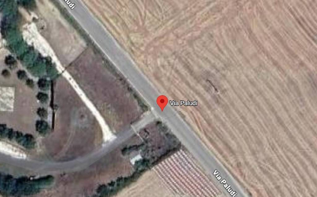 immagine annuncio 5 di 11