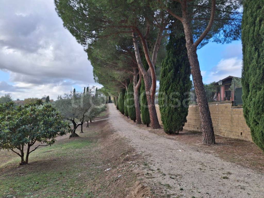 immagine annuncio 6 di 14