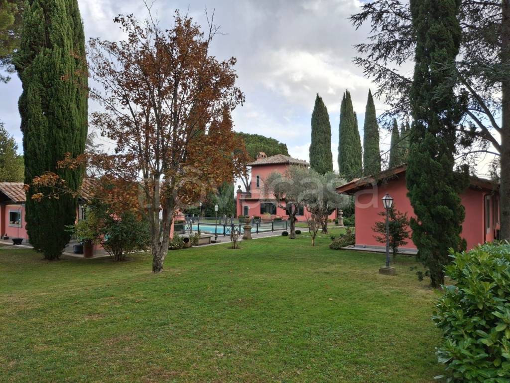 immagine annuncio 7 di 14