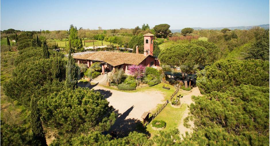 immagine annuncio 9 di 14