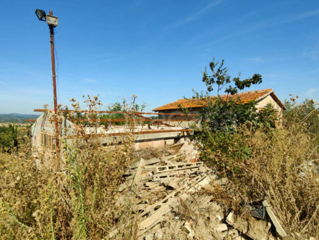 immagine annuncio 3 di 11