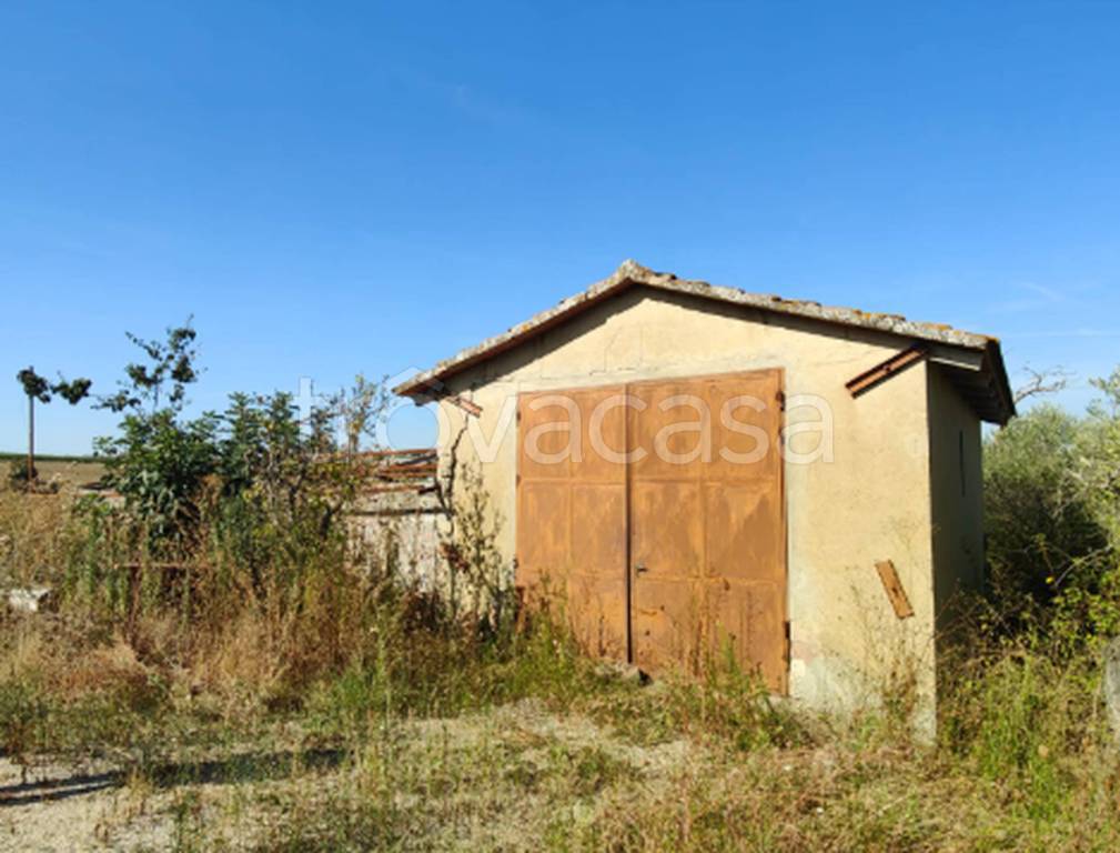 immagine annuncio 4 di 11