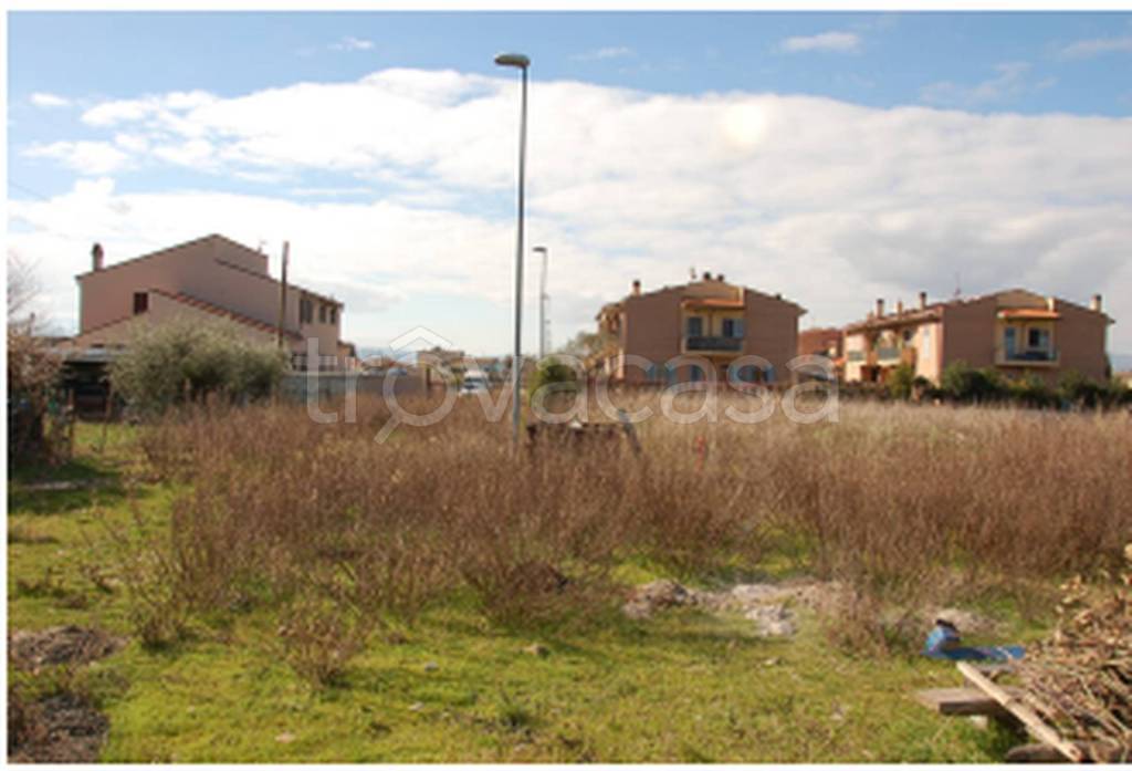 immagine annuncio 5 di 11