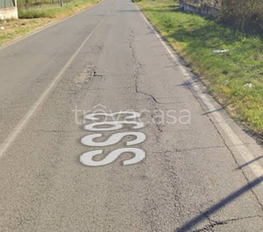 immagine annuncio 4 di 11