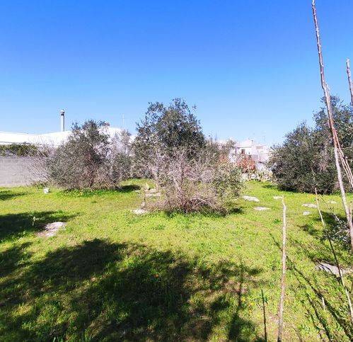 immagine annuncio 7 di 10