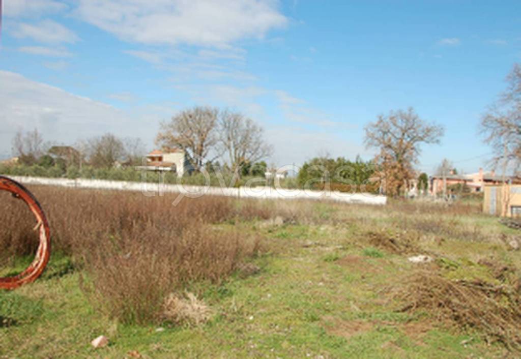 immagine annuncio 7 di 11