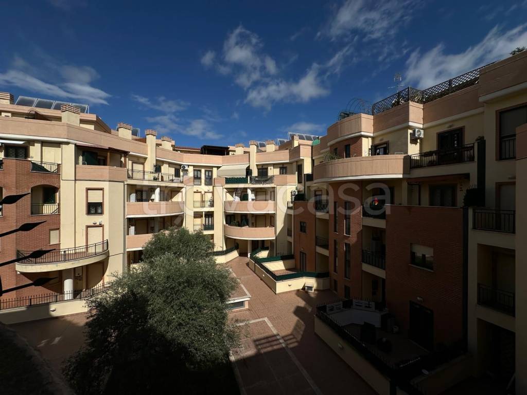 immagine annuncio 3 di 14